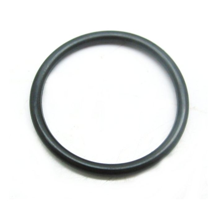 Intake O-ring